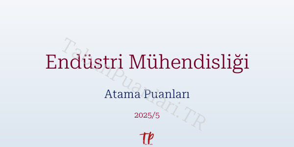 Endüstri Mühendisliği Atama Puanları ve Kontenjanları 2026